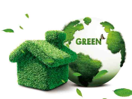 Gas Power Plant & CCHP 